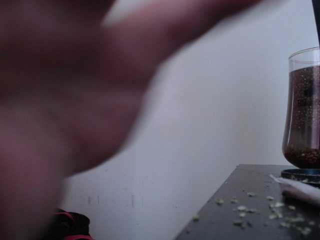 Sändningsbilder acadiarisque