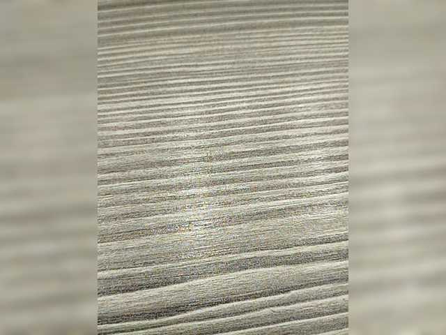 Sändningsbilder alysya111222