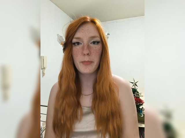 Sändningsbilder AmaryllisFox