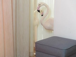 Erotisk videochatt AmeliaJune