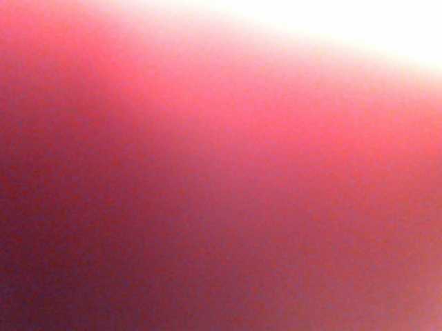 Sändningsbilder anawild4you