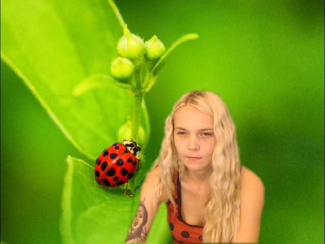 Foton AnnaHappy18 ...the story of the lonely ladybug.