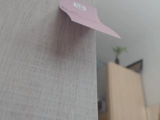 Sändningsbilder Ylangg