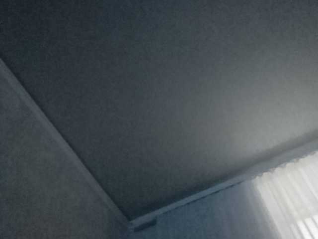 Sändningsbilder b1ToorBoPussy