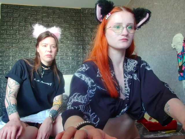 Sändningsbilder babyfoxys