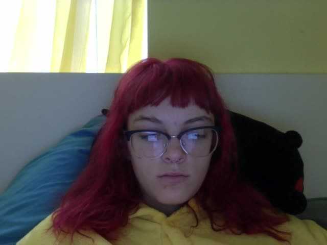 Sändningsbilder ChamFleydi