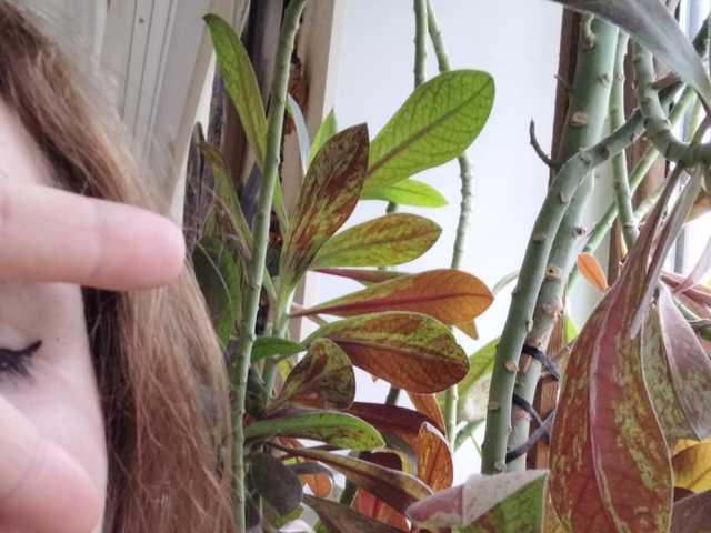 Foto av profilen Crazycouple8