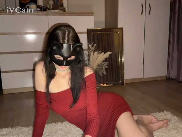 Sändningsbilder CuteCats