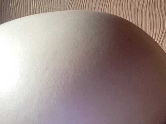 Sändningsbilder Darinaray777