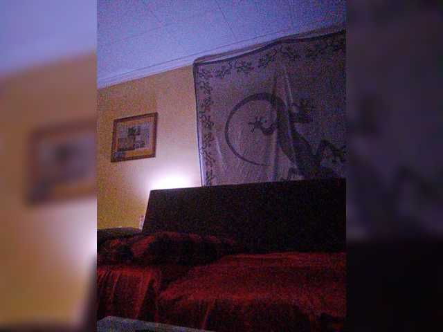 Sändningsbilder Doggysx