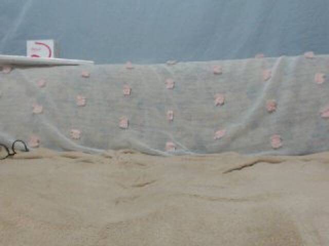 Sändningsbilder DonnaWildJoyy