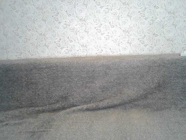 Sändningsbilder ElegantBlonda