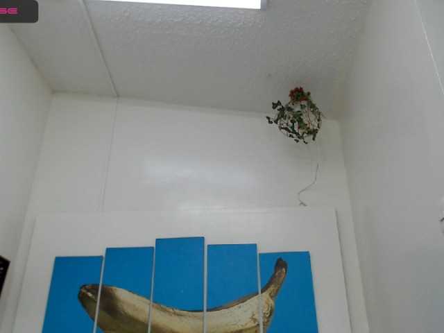 Sändningsbilder evaklumm