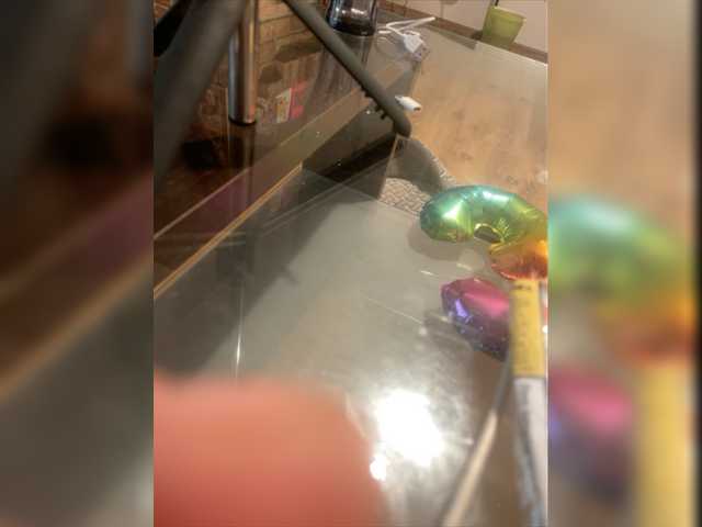 Sändningsbilder Fastfuriourss