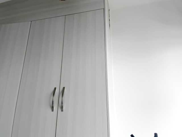 Sändningsbilder fitnessebony