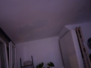 Erotisk videochatt Flora8845