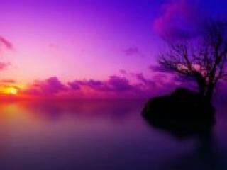 Erotisk videochatt florabella