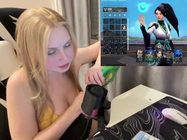 Sändningsbilder funnykitty