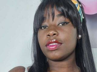 Erotisk videochatt gilarylerma