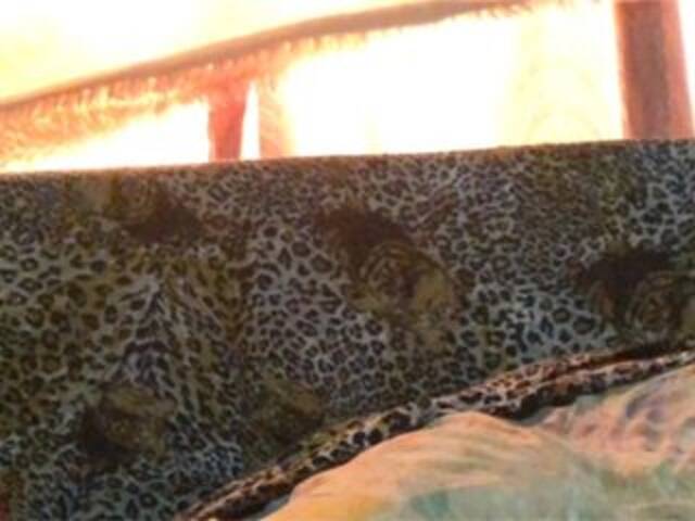 Sändningsbilder Grappa01