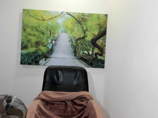 Sändningsbilder havanaginger1