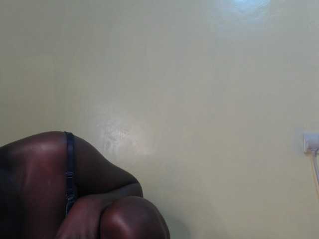 Sändningsbilder Hornybee2