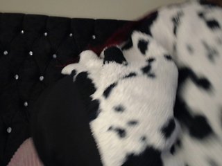 Erotisk videochatt Hornyrata