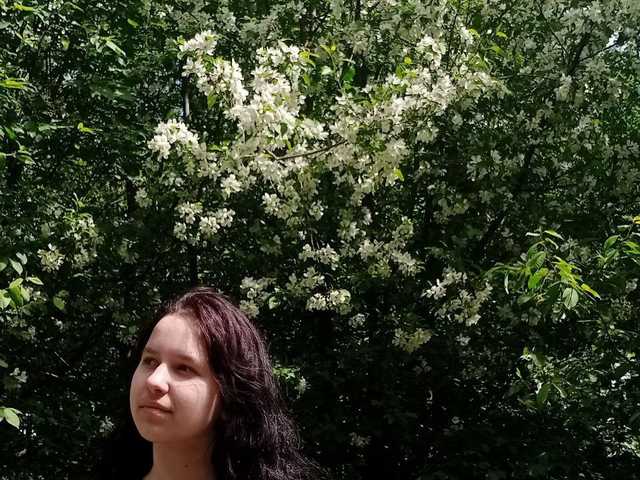 Foto av profilen LisaMeowss