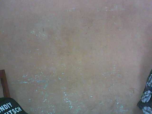 Sändningsbilder kattybraid