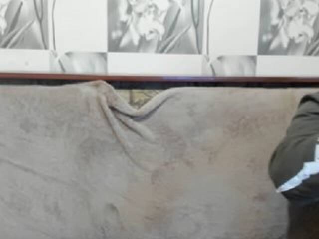 Sändningsbilder sexyit09