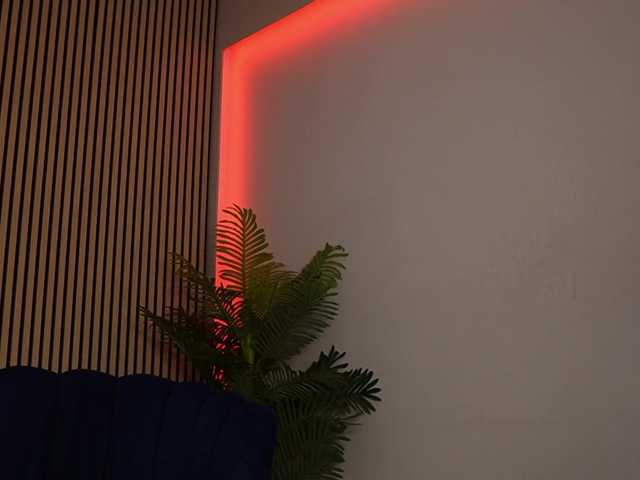 Sändningsbilder LeahSauvage