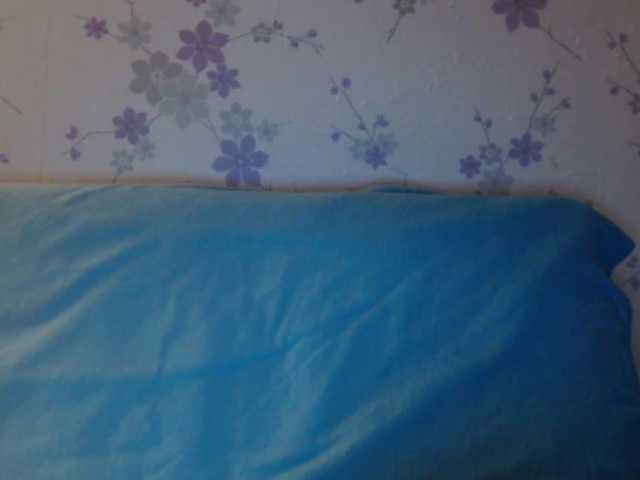 Sändningsbilder littledevi