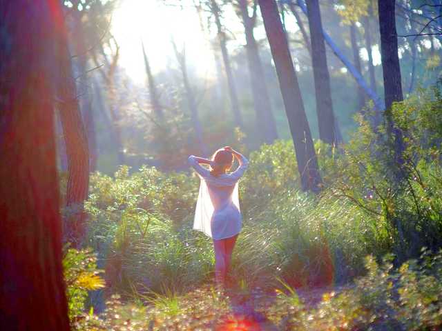 Foto av profilen Fiery_Phoenix