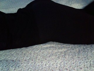 Erotisk videochatt -magicrose-