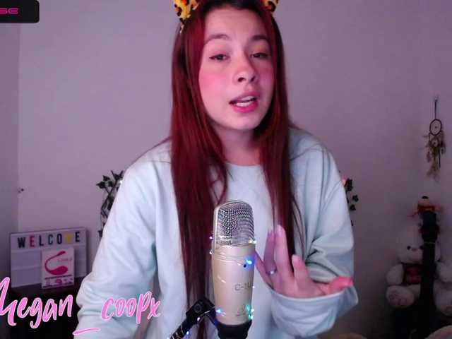 Sändningsbilder megan-cop