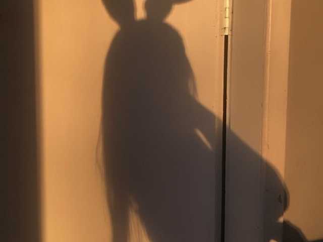 Foto av profilen meltemss