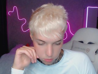 Erotisk videochatt tezes