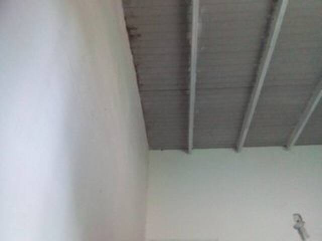 Sändningsbilder misscute