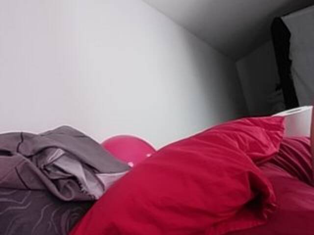 Sändningsbilder MisViolaViola