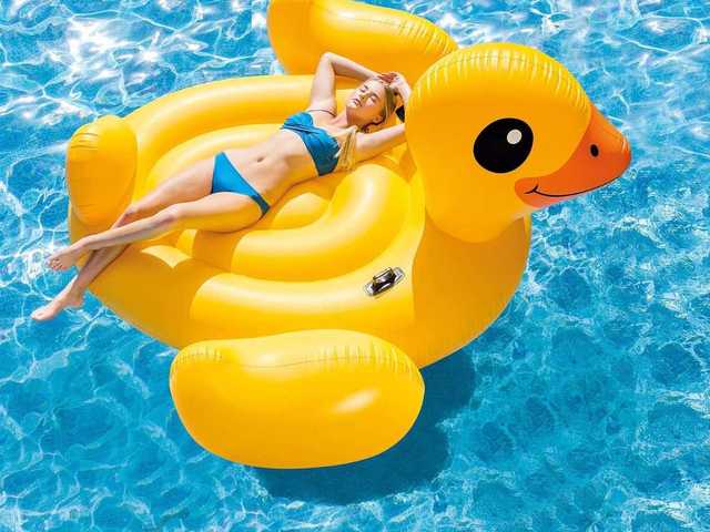 Foto av profilen Mona-Lisa