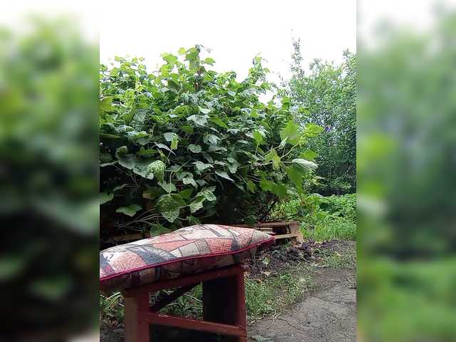 Sändningsbilder Natka35