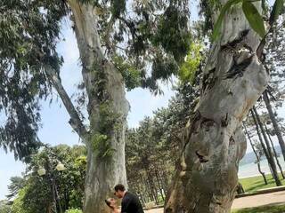 Erotisk videochatt PUPI-DEL-REY