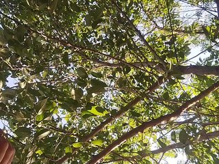 Erotisk videochatt ROOMEXOTIC11