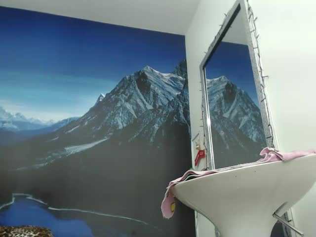 Sändningsbilder seleneh