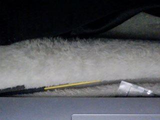 Erotisk videochatt sexysapphiresweet