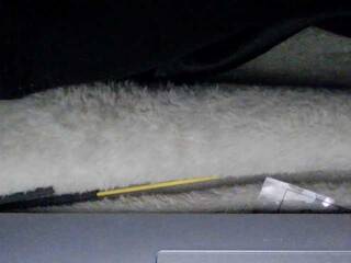 Erotisk videochatt sexysapphiresweet