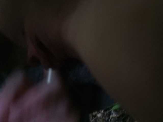 Sändningsbilder Siliagggg