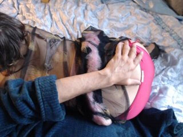 Sändningsbilder Masha_Ivanova