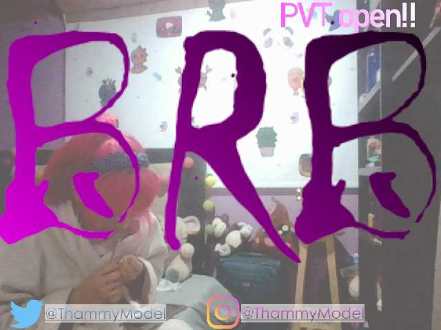 Sändningsbilder ThammyModell