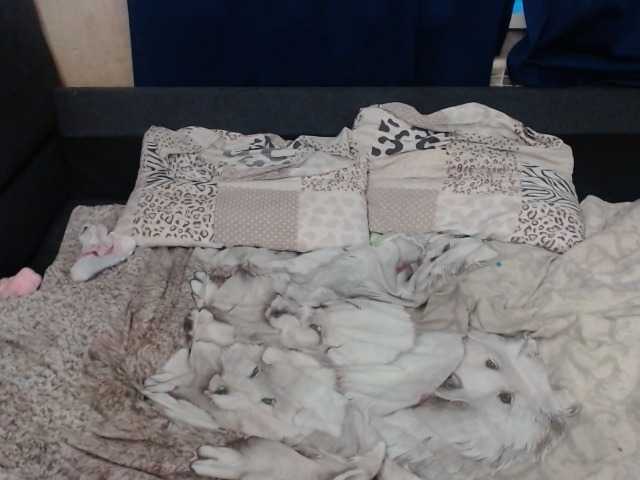 Sändningsbilder VikiMax69